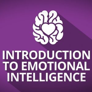 introduction to emotional intelligence